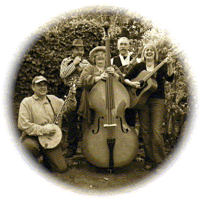 The Perfectly at Home String Band